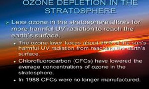 Different pollution over the animal pic-02(edited unque).