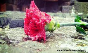 oping The Suicidal Thoughts And Behaviors 9