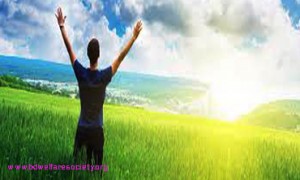 Baleful-Suicidal Thoughts And Feelings- Tips For Arresting-Coping Or, Prevention, Collected Unique Picture No-0003....