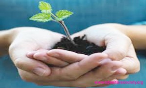 Management Or, Treatment Process Of Suicidal Thoughts And Behaviors, Collected Unique Picture No-0008.