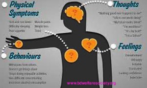 Suicidal Thoughts And Behaviors - Signs, Symptoms With Evaluations- Collected Unique Picture No-000016.