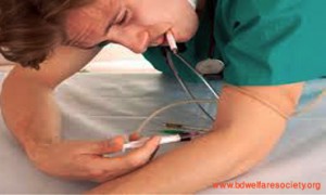 To Know About Substance Abuse And Depression, Collected Unique Picture No-0005..