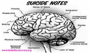 What Is The Acceptation Or, Meaning Of Suicide - Collected unique picture no-005.