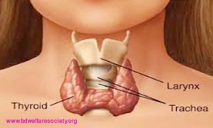 About Postpartum Abasement or, Depression - Definition, Symptoms, Causes And Babyish Blues, Collected Unique Picture No-006.......