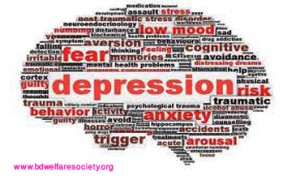 Depression Discussion- Definition or, Meaning of Depression, Collected unique picture no-0023............
