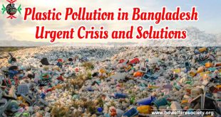 Plastic Pollution in Bangladesh Urgent Crisis and Solutions