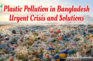 Plastic Pollution in Bangladesh Urgent Crisis and Solutions
