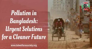 Pollution in Bangladesh Urgent Solutions for a Cleaner Future