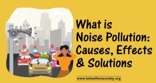 What is Noise Pollution Causes, Effects, and Solutions