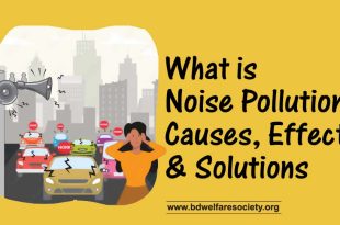What is Noise Pollution Causes, Effects, and Solutions