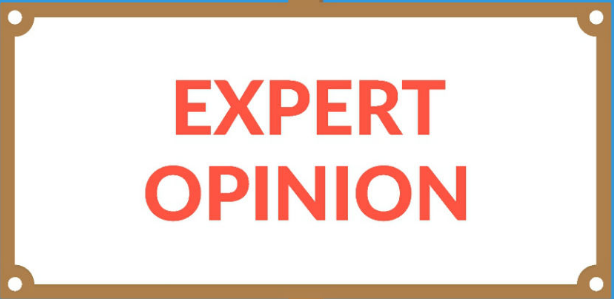Expert Opinion