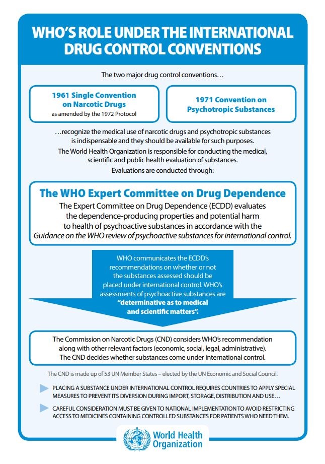 Roles And Responsibilities