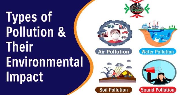 Types of Pollution and Their Environmental Impact