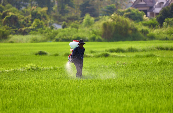 Sustainable Agricultural Practices