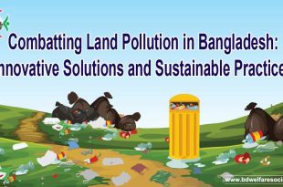 Combatting Land Pollution in Bangladesh Innovative Solutions and Sustainable Practices