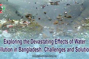 Exploring the Devastating Effects of Water Pollution in Bangladesh Challenges and Solutions