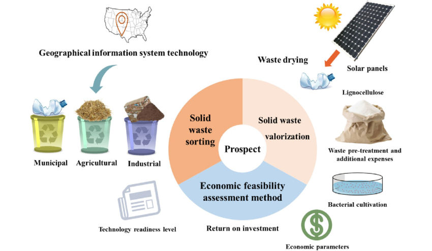Innovative Waste Management Techniques