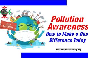 Pollution Awareness: How to Make a Real Difference Today