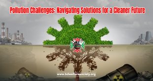 Pollution Challenges: Navigating Solutions for a Cleaner Future