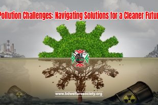 Pollution Challenges: Navigating Solutions for a Cleaner Future
