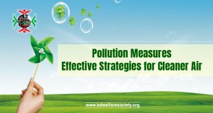 Pollution Measures: Effective Strategies for Cleaner Air