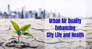 Urban Air Quality: Enhancing City Life and Health