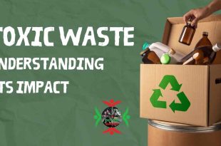 Toxic Waste: Understanding Its Impact on Our Environment