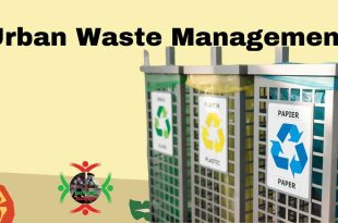 Urban Waste Management: Innovative Solutions for Cleaner Cities