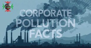 Corporate Pollution Facts: Environmental Impact of Big Business