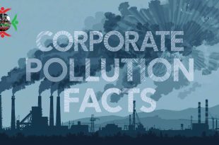 Corporate Pollution Facts: Environmental Impact of Big Business