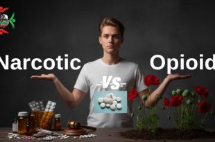 Narcotics vs Opioids: Key Differences Explained Simply