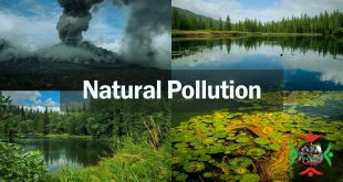 Natural Pollution Examples: When Nature Creates Its Own Problems