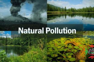 Natural Pollution Examples: When Nature Creates Its Own Problems
