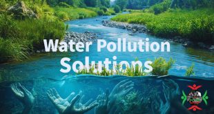 Water Pollution Solutions: Innovative Approaches That Work