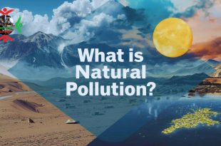 What Is Natural Pollution? Earth's Own Environmental Contaminants