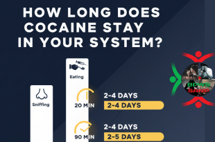 how long does cocaine stay in your system