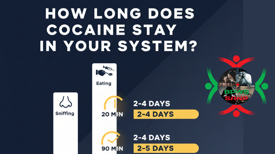 how long does cocaine stay in your system