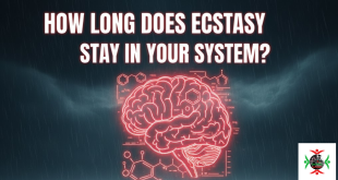 how long does ecstasy stay in your system