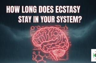 how long does ecstasy stay in your system