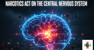 narcotics act on the central nervous system
