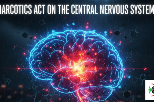 narcotics act on the central nervous system