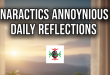 narcotics anonymous daily reflections​