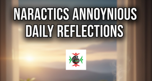 narcotics anonymous daily reflections​