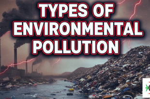 types of environmental pollution
