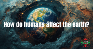 how do humans affect the earth?
