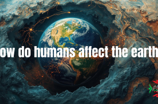 how do humans affect the earth?