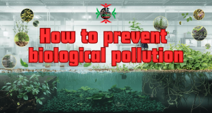 how to prevent biological pollution