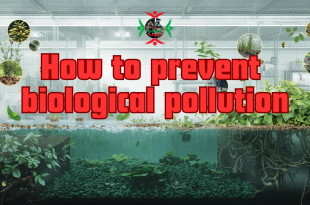 how to prevent biological pollution